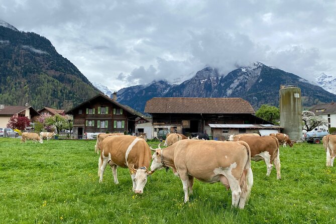 Grindelwald, Lauterbrunnen & Mürren Private Day Trip from Zurich - What the guides add to the experience