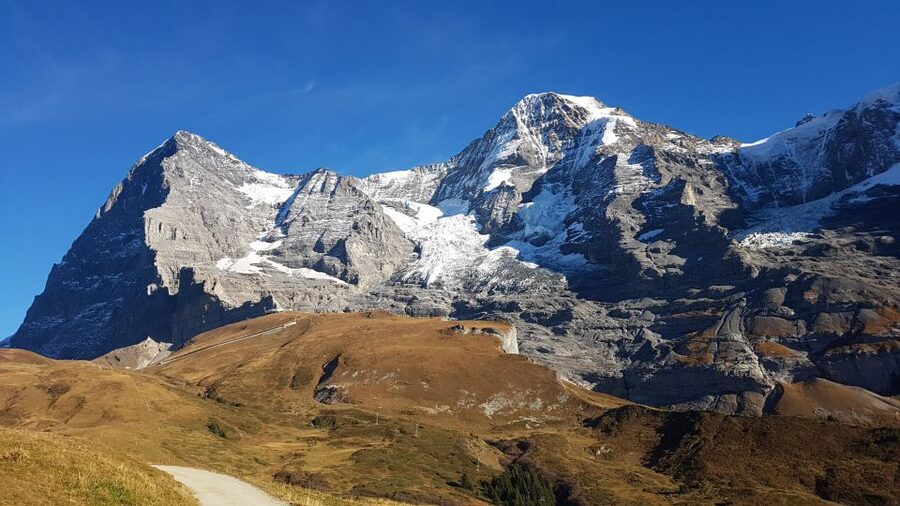 Grindelwald-Scheidegg-Lauterbrunnen Small Group Tour - What the guide adds to the day