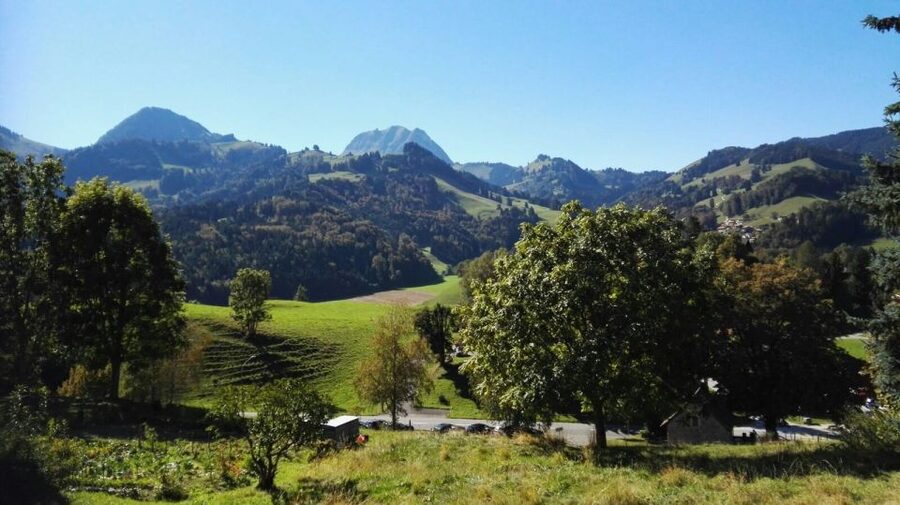 Gruyères, Cheese and Chocolate: Private Guided Tour - How the private format affects the value