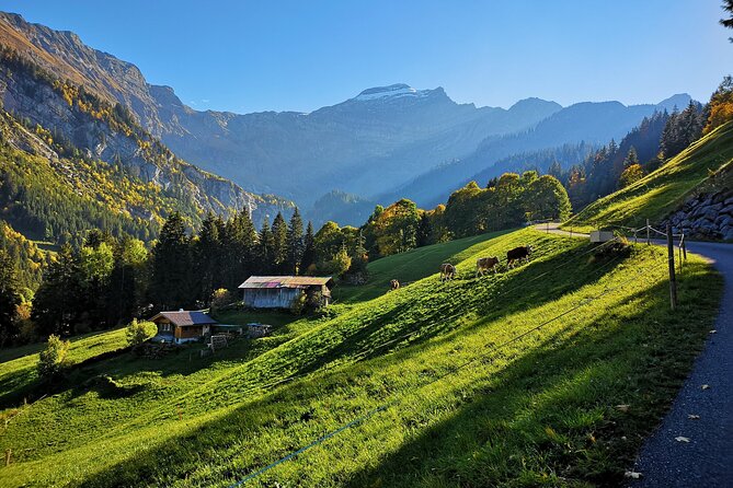 Guided Excursion to Jungfraujoch, Grindelwald and Lauterbrunnen from Lucerne - What the Guides Add