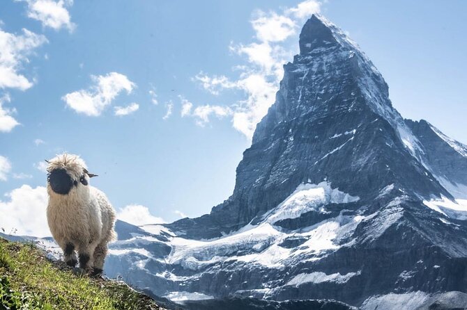 Guided Hiking Full Day in Zermatt - Stellisee brings the classic reflection view