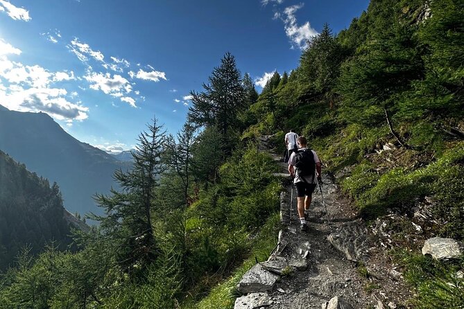 Guided Hiking Half Day in Zermatt - Gorner Gorge: a different side of the valley