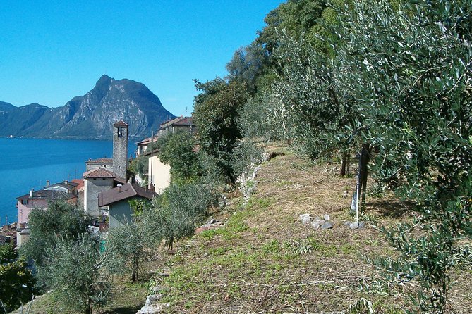 Guided Walk from Lugano to Gandria promoted by Lugano Region - return by boat - Returning across Lake Lugano at 1:55 p.m.