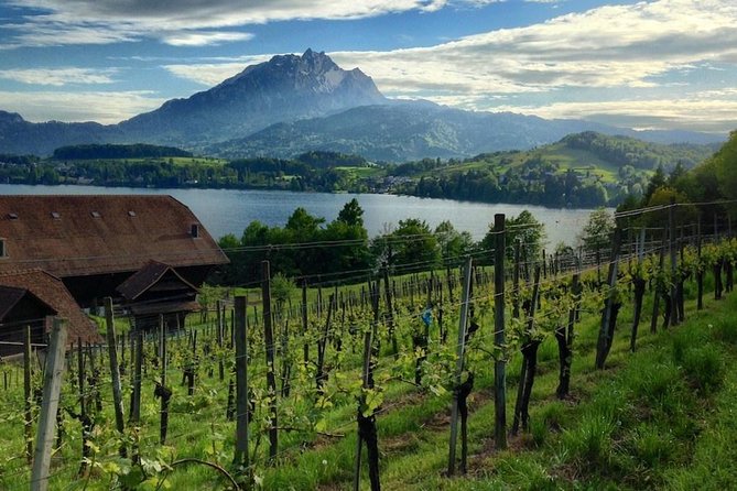 Half-Day Lake Lucerne Country Walk - Walking among farms, fields, and Alpine views