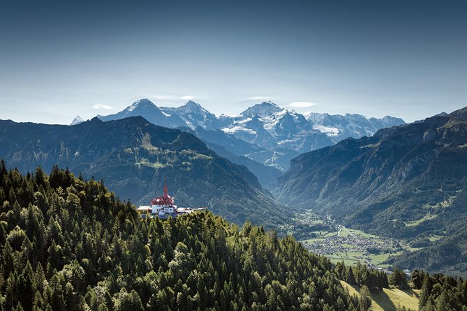 Harder Kulm - Top of Interlaken - Cable Car Ticket - The forest ride to 1,322 meters