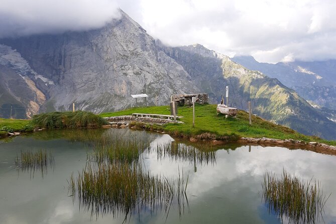 Heart of the Alps Private Hiking Tour from Lucerne - What the private guide adds