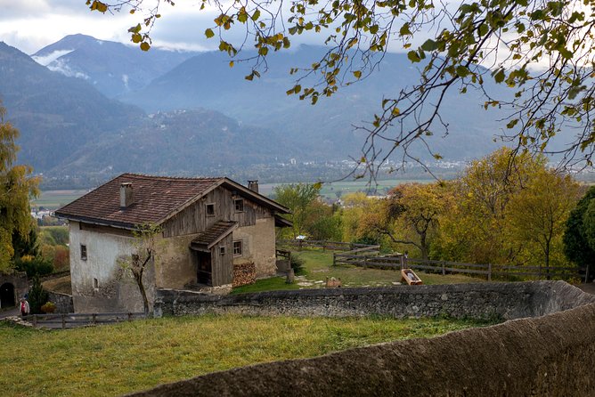 Heidiland and Liechtenstein Tour from Zurich - Winter’s alternative: Werdenberg