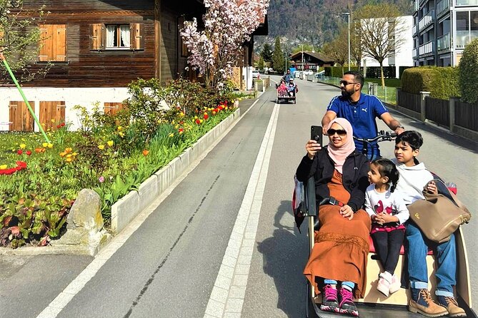 Hidden gems e-bike tour with picnic at Lake Brienz - What the small group changes