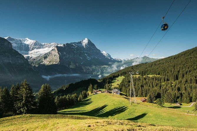 Interlaken and Grindelwald Day Trip from Lucerne - The mixed coach issue