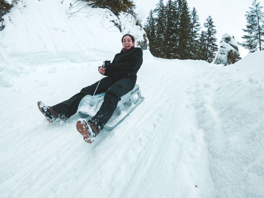 Interlaken: Guided Sledging Adventure - Starting on easier slopes
