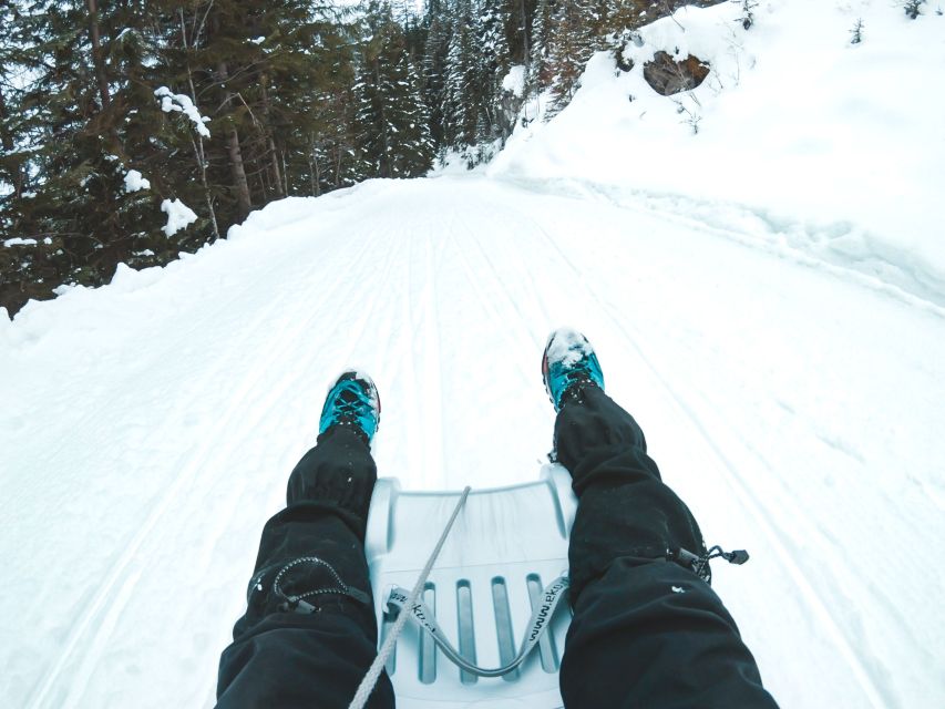 Interlaken: Guided Sledging Adventure - The scenery: Eiger, woods, and frozen water