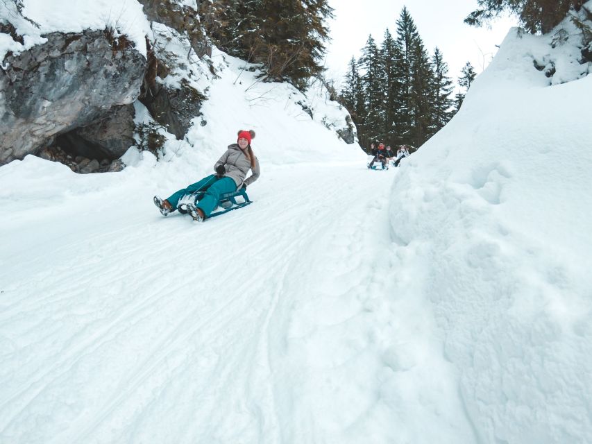 Interlaken: Guided Sledging Adventure - The guide can make a real difference