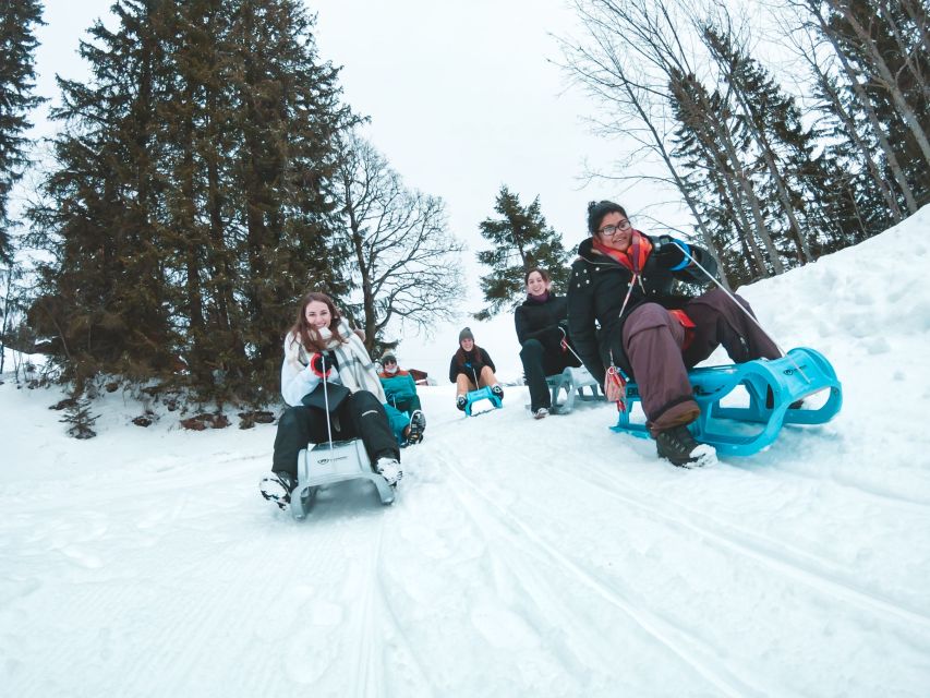 Interlaken: Guided Sledging Adventure - Is $127 a fair price?