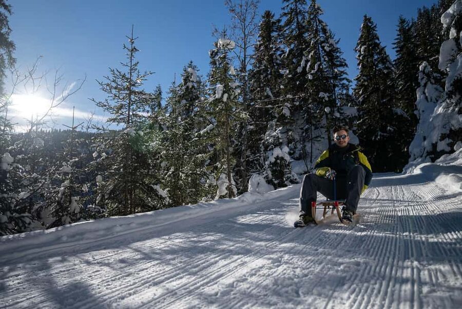Interlaken: Guided Sledging Adventure - From Outdoor Base to the Swiss Alps