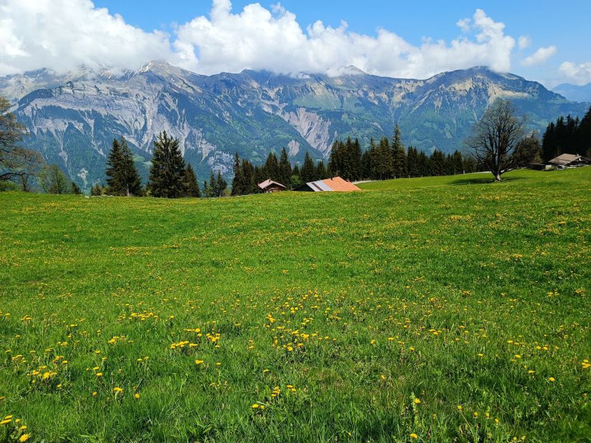Interlaken: Highlights Tour with a Local by Private Car - Why a private car makes sense around Interlaken