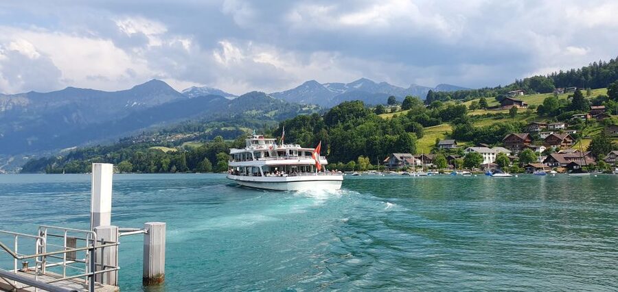 Interlaken: Lake Thun and Lake Brienz Boat Cruises Day Pass - Who should book this day pass