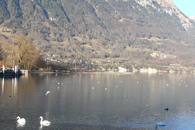 Interlaken Private Tour: Mountains Cows, Thun Lake, and Brienz Lake - A quick morning out from Interlaken