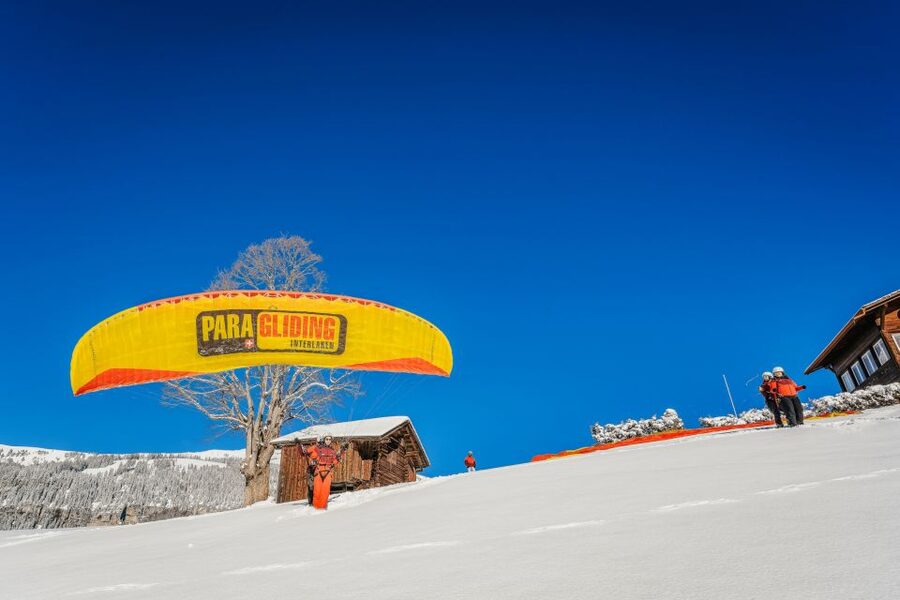 Interlaken: Tandem Paragliding Flight - The pilots make the difference for nervous first-timers