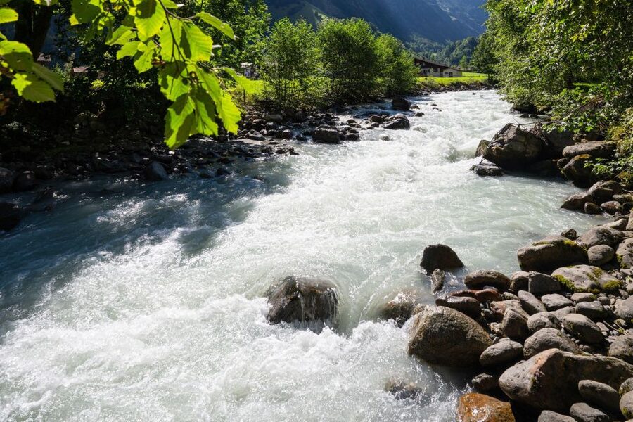 Interlaken Valley E-Bike Tour: Rivers, Lakes & Forests - Key things to know before you book