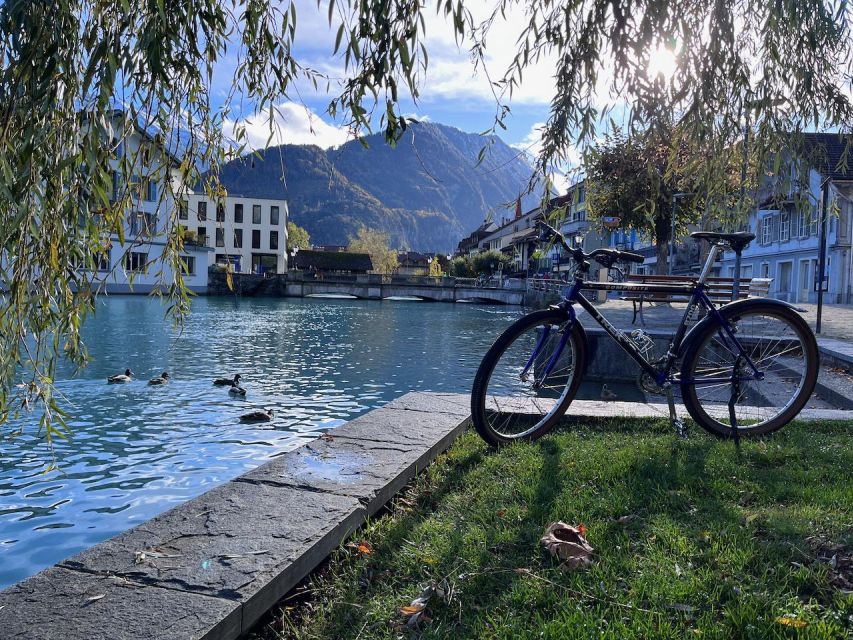 Interlaken Valley E-Bike Tour: Rivers, Lakes & Forests - A viewpoint puts the valley into perspective