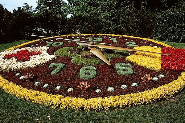 International & Panoramic Tours Geneva - Passing through the international district