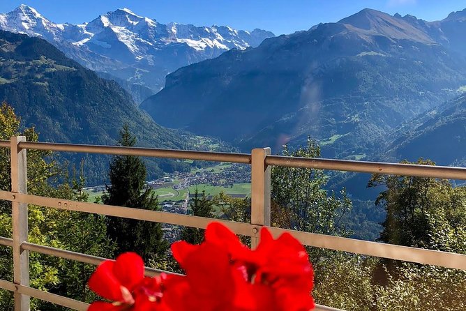 Jungfraujoch (Private Tour) - Interlaken gives you one useful hour