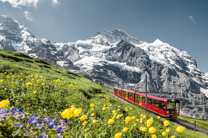Jungfraujoch: Top of Europe Day Trip from Zurich - Zurich to the Bernese Oberland by coach