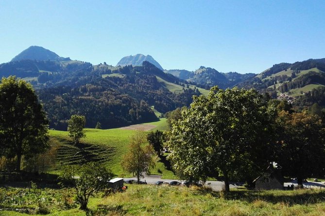 (KTL352) - Gruyeres Day Trip with Chocolate Factory from Lausanne - Who should book this day trip?