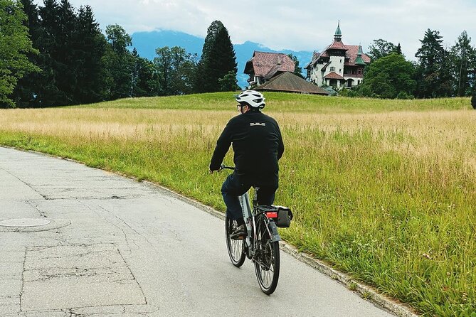 Lake Lucerne Peninsula e-Bike Tour - Views, farms, woods, and a possible lakeside stop
