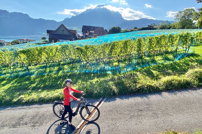 Lake Lucerne Peninsula e-Bike Tour - Timing and practical preparation