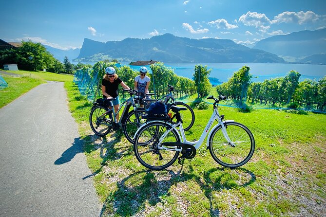 Lake Lucerne Peninsula e-Bike Tour - Families and bike carriage