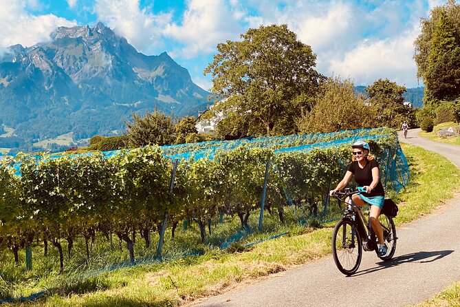 Lake Lucerne Peninsula e-Bike Tour - Riding the peninsula’s quieter trails