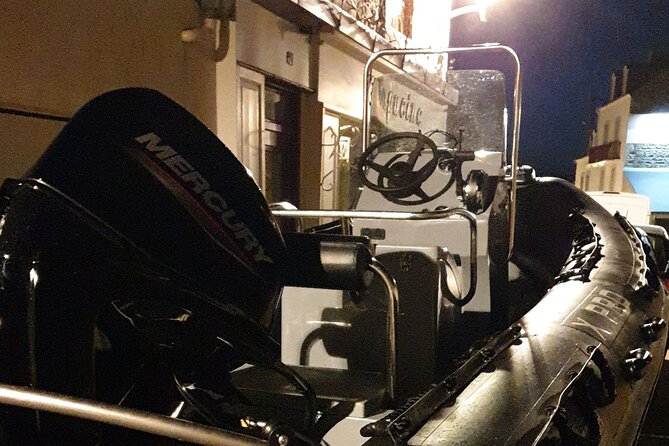 Lake Zurich mini boat tour / by night! - Lake Zurich from the water