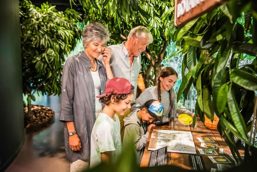 Lindt Home of Chocolate Museum Entry Ticket - The tasting rooms are the heart of the visit