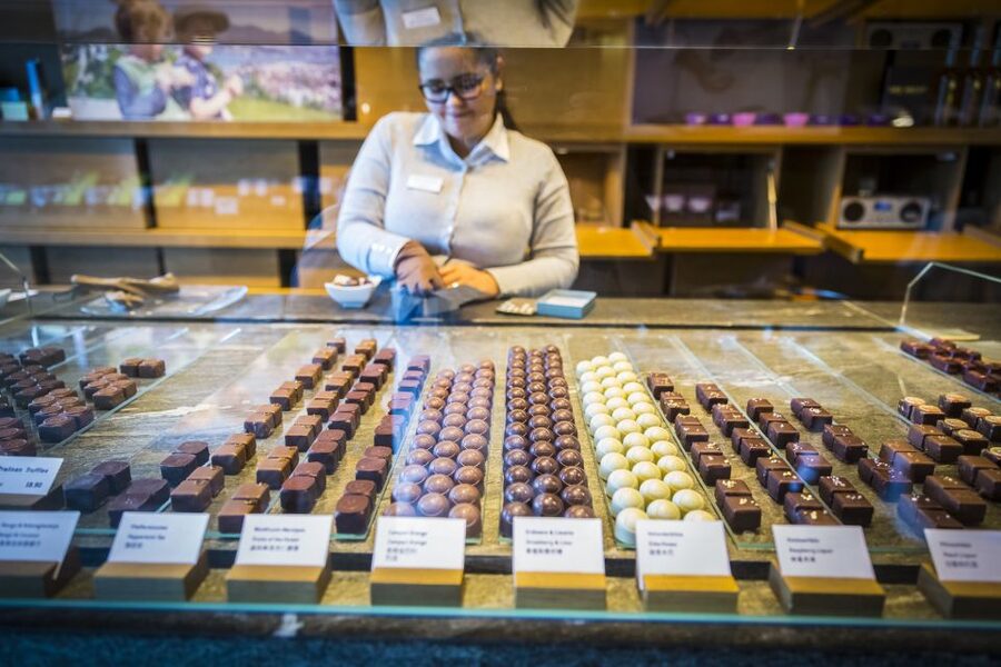 Lucerne: Chocolate Tasting with Lake Trip and City Tour - What makes this Lucerne tour worth considering