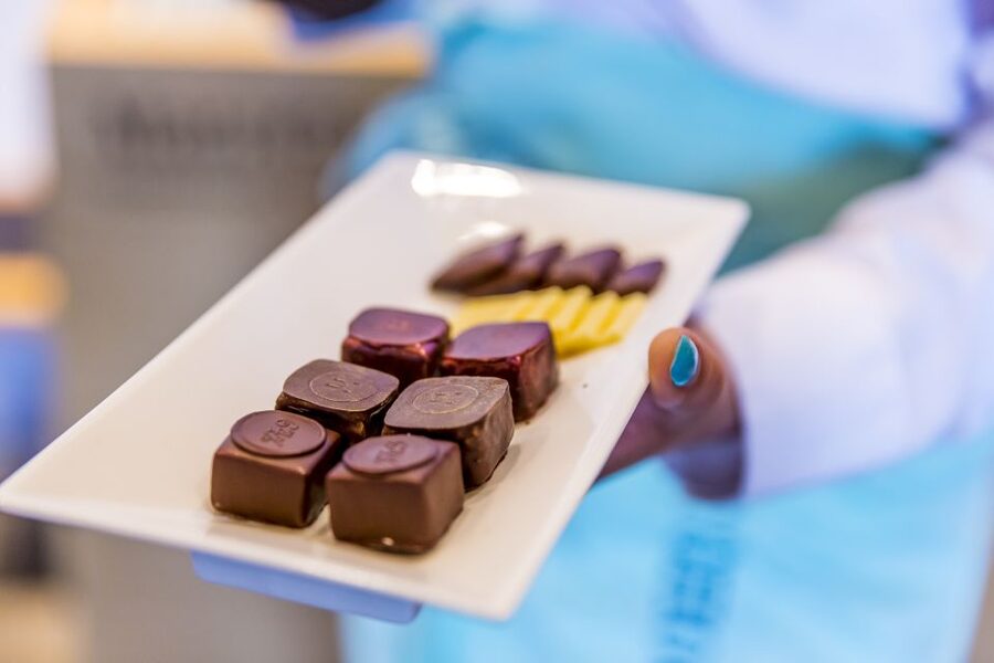 Lucerne: Chocolate Tasting with Lake Trip and City Tour - The Lion Monument and Lucerne’s darker story