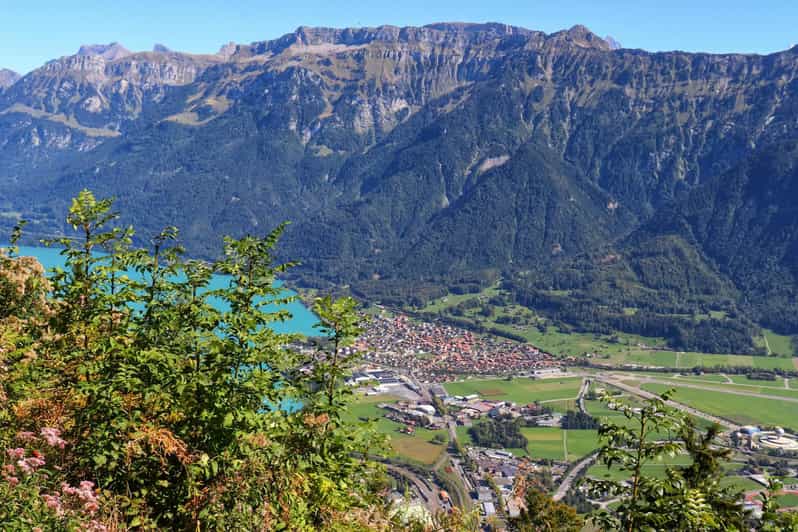 Lucerne: Interlaken & Grindelwald Exclusive Private Day Tour - What this Lucerne day trip is really trying to do