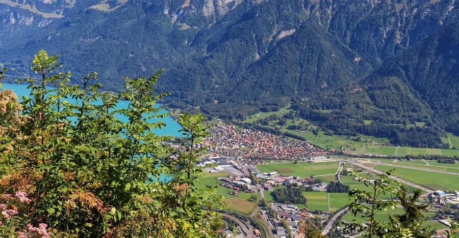 Lucerne: Interlaken & Grindelwald Exclusive Private Day Tour - Lunch, free time, and extra costs