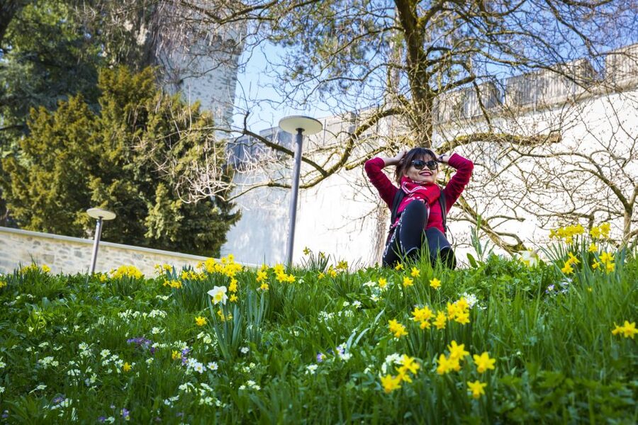 Lucerne: Photography Walking Tour - The Lion Monument and the art of choosing a subject