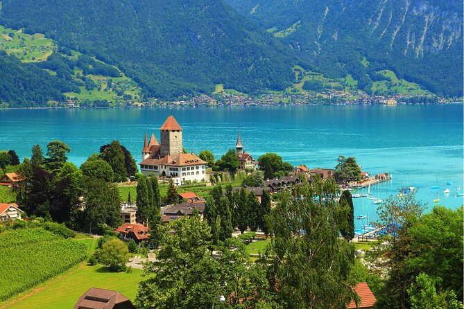 Lucerne:Private Daytrip to Swiss Villages(Interlaken-Grindelwald) - A driver, a guide, or something between?