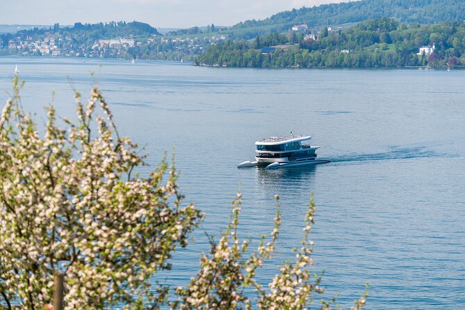 Mount Bürgenstock Independent Tour from Lucerne - Practical tips for a smoother Bürgenstock day