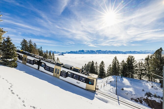 Mount Rigi Day Ticket - The Goldau route and a second way to reach the summit