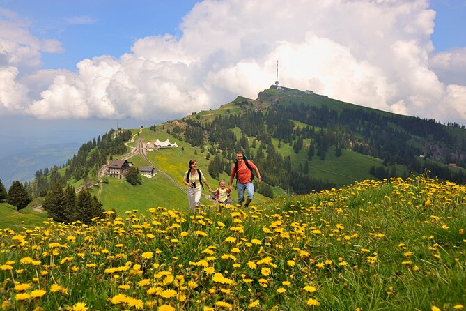 Mount Rigi Day Trip from Lucerne - Price and the value of covered transport