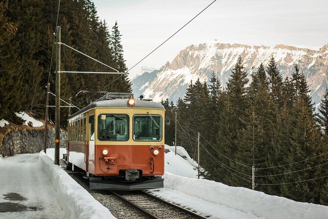 Mountain Majesty: Small Group Tour to Lauterbrunnen and Mürren - Returning by Train, Gondola, or Optional Walk