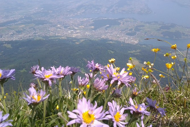 Mt. Pilatus Golden Roundtrip Private Day Trip from Basel - Lucerne, Chapel Bridge, and the ride home