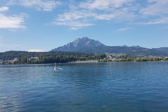 Mt. Pilatus Golden Roundtrip Small Group Day Trip from Lucerne - Is $499.41 a fair price?