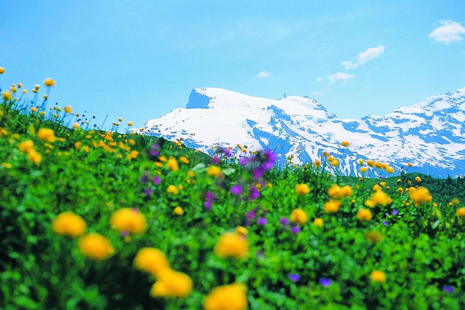 Mt Titlis Glacier Paradise Tour from Zurich With Lucerne - Two hours at Titlis Glacier Paradise