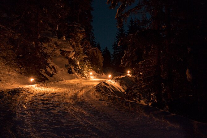 Night Sledding from Interlaken - Group size, timing, and the return to Interlaken