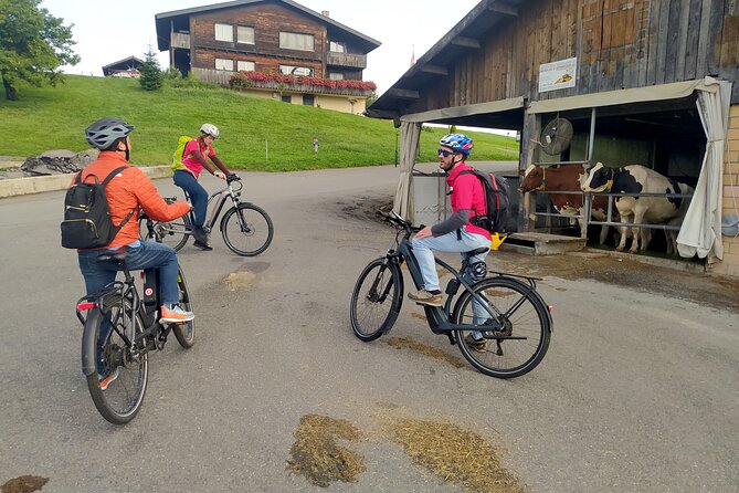 Panoramic E-Bike Tour with a Lake Cruise - What the $729.65 price really covers