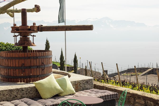 Panoramic Wine Tour From Lausanne - The small-group advantage